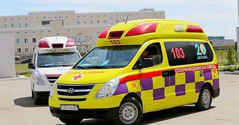 Полиция Рудныйдағы егіздер өліміне қатысты шыққан сыбысқа жауап берді 