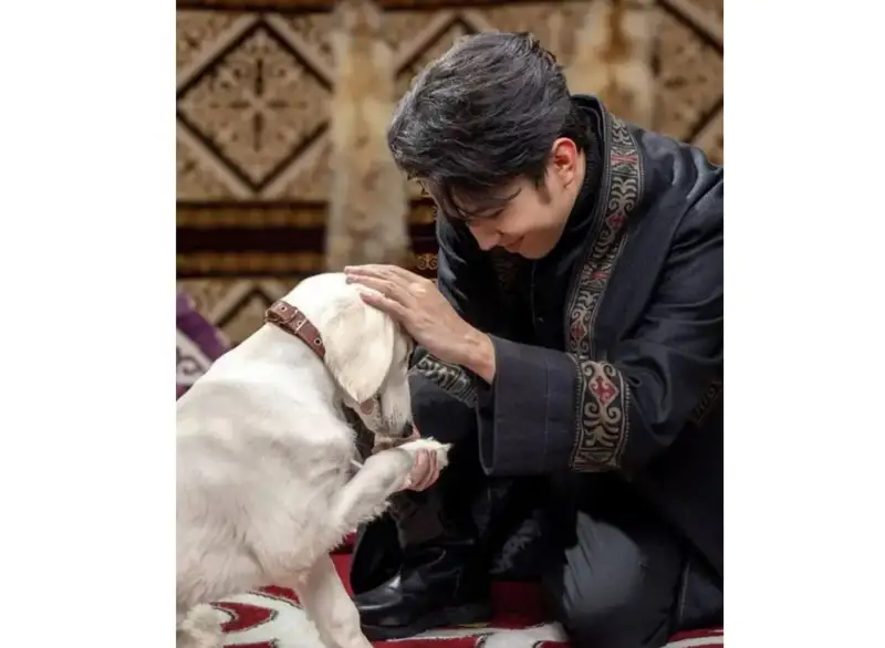 Тоқаев Димашқа тазы күшігін сыйлады