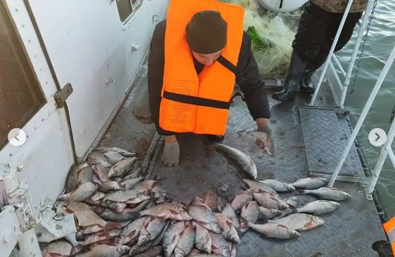 Шекарашылар 820 млн теңгеден астам экономикалық залалдың алдын алды