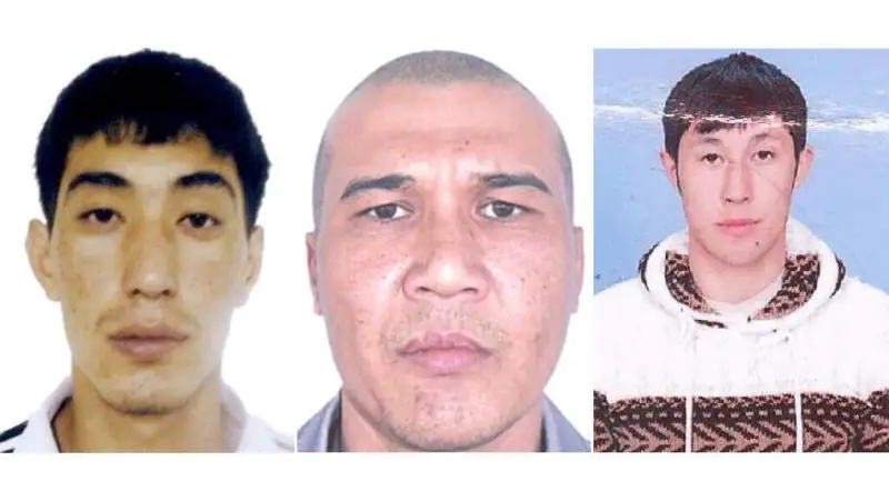 Алматыда пәтер тонап келген ұрылар ұсталды 