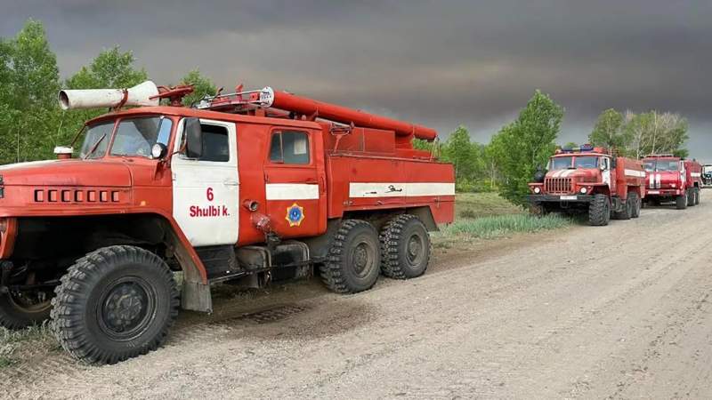 Абай облысының орманшыларына жаңа көліктер берілді