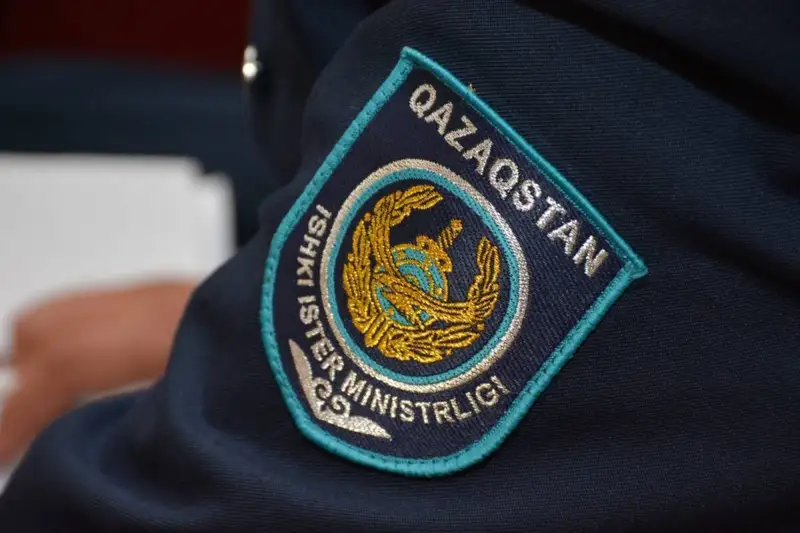 Өгей шешесіне қол көтерген жетісулық тұрғын жауапқа тартылады