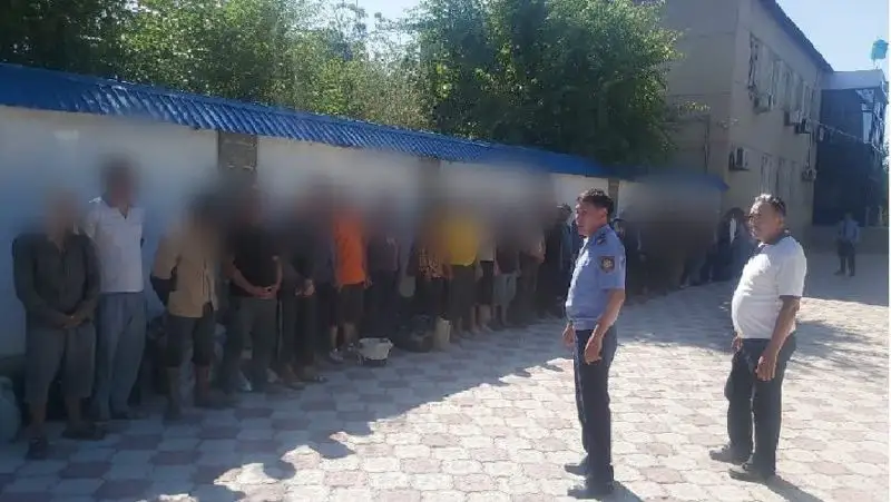 Түркістан облысында заңсыз сасыр өндірген 51 шетелдік ұсталды