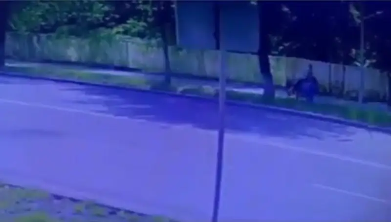 Жол жиегінде бүлдіршінді қағып кеткен самокатшыны іздестіріп жатыр
