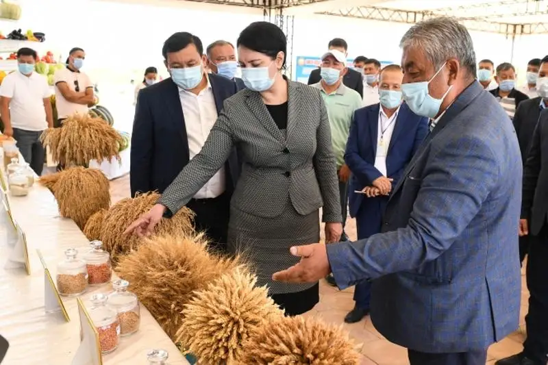 Сыр диқандары рекорд жаңартты