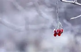 Бүгінгі ауа райы 