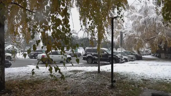 Көліктен 4 адам өлі күйде табылды 