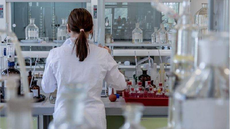 ДДСҰ: Маймыл шешегі төтенше жағдай тудырып отырған жоқ