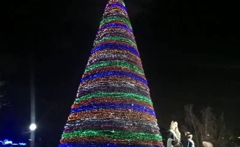 Павлодар облысының әкімдігі қашан шырша орнатады?