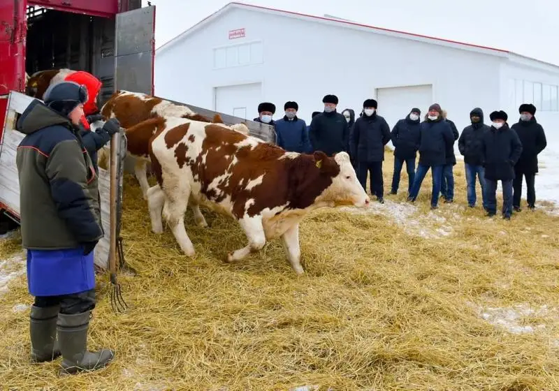 Цифрлы ферма құрылысына 3,3 млрд теңге инвестиция тартылған