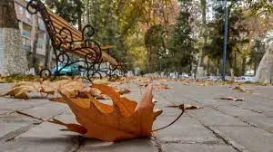 Бүгінге арналған ауа райы болжамы қандай?