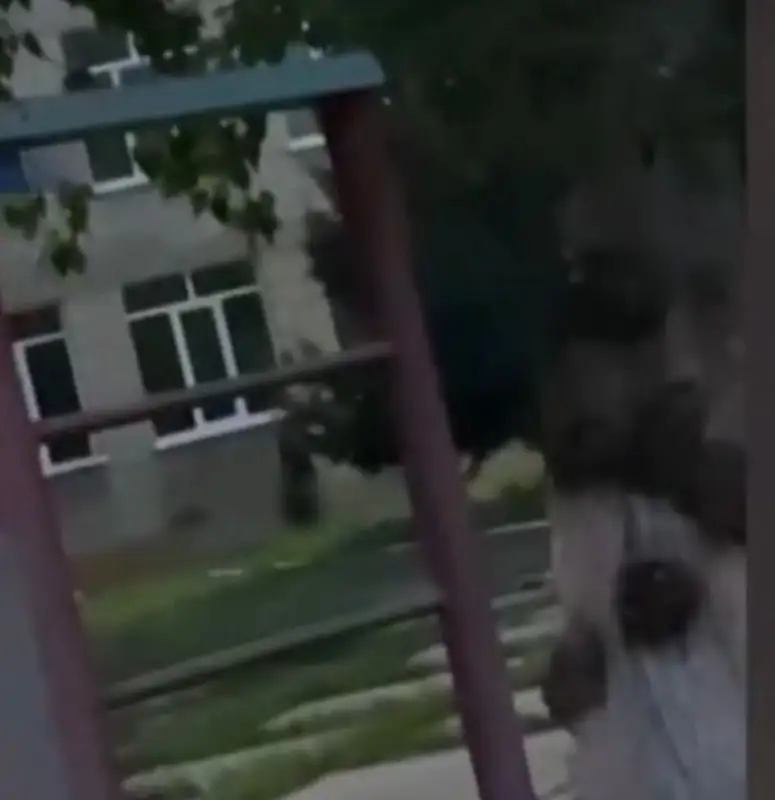 Өскеменде екі мұғалім мектептің ауласында 17 жастағы қызбен жыныстық қатынасқа түспек болған (видео)