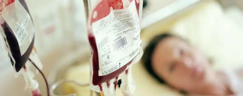 Жыл сайын донор күткен 100 адам көз жұмады