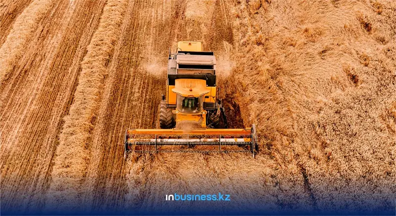 Еліміз бидай өндірісінен шығын шегуі мүмкін