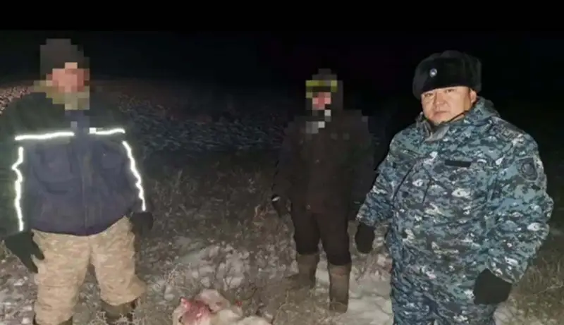Жамбыл полицейлері қорық аумағында ақбөкен аулағандарды ұстады