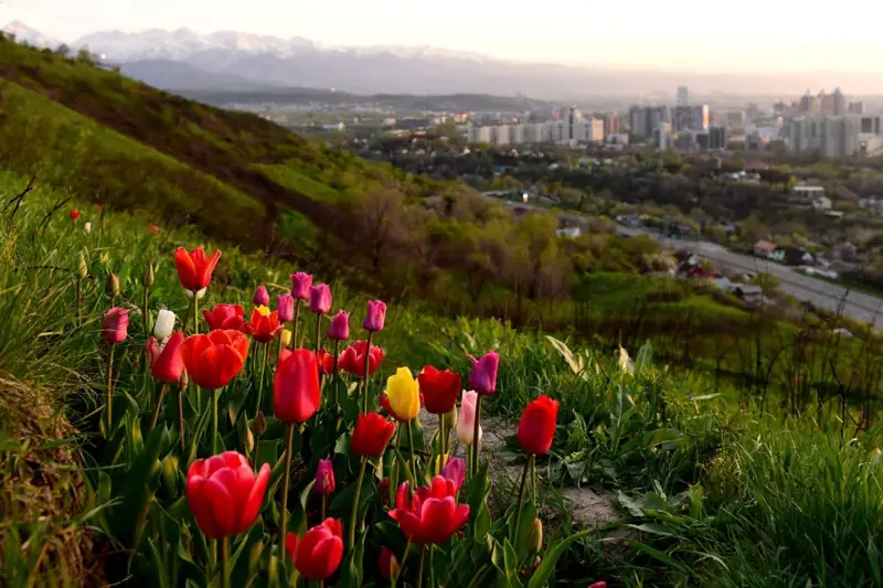 Алматы ауасының ластану деңгейінің нәтижесі жарияланды