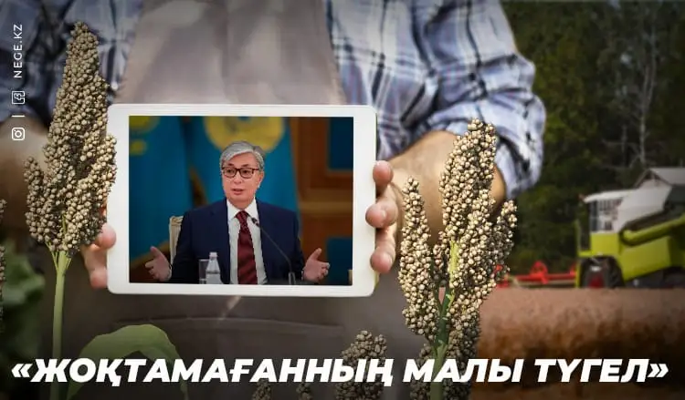 МЕЗІ ЕТКЕН МЕНШІК МӘСЕЛЕСІ биылғы жолдауда айтылды