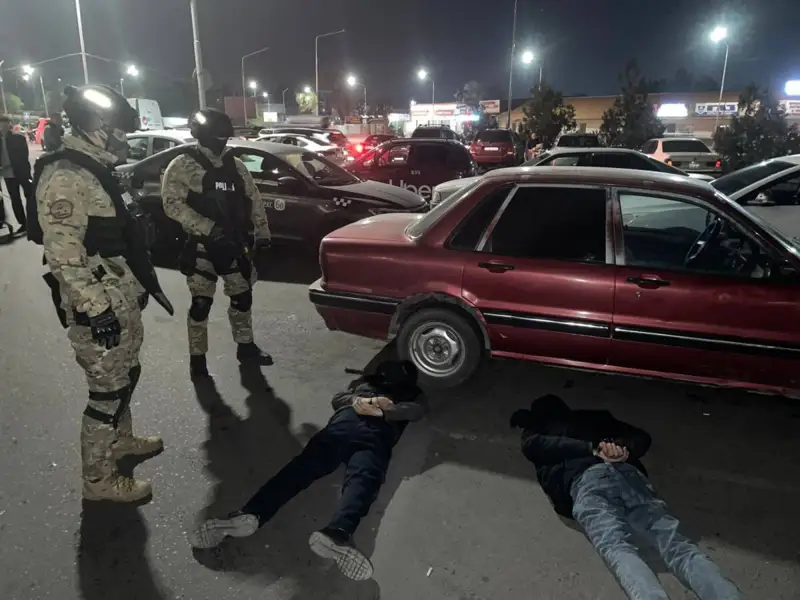 Алматыда бірқатар пәтер ұрлығына қатысы бар қылмыстық топ қолға түсті  