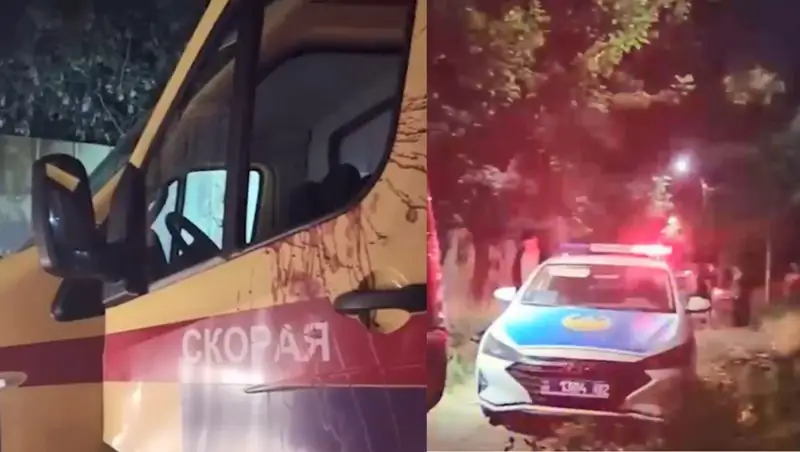 BMW, Nissan, жедел жәрдем көлігін ұрлаған ер адам полицейлерді әбігерге салды (видео)