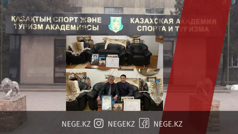 «Қылмыстық іс аяқсыз қалуы мүмкін». Қар барысының терісі қайда?