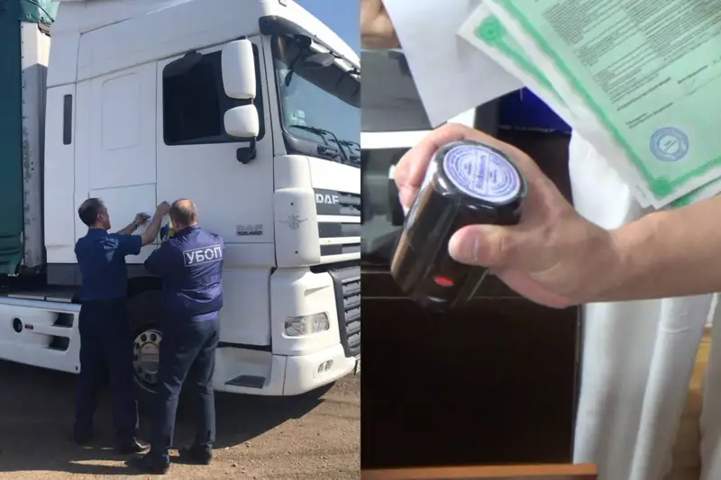 ІІМ автокөлікті жалған құжаттар бойынша тіркеген қылмыстық топтарды ұстады