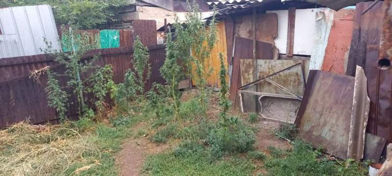 Үйінде есірткі өндірген алматылық ұсталды