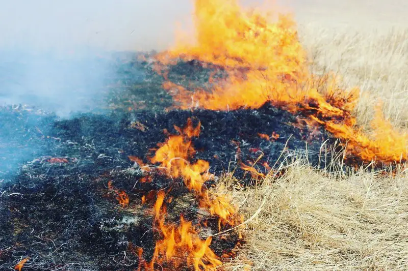 Қызылордада қураған шөп өртеніп, қаланың бірқатар бөлігін түтін басты (видео)