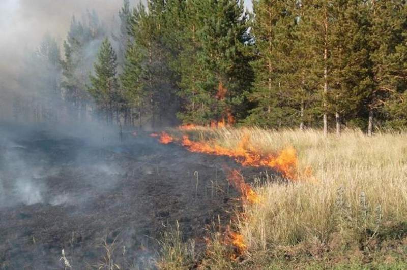 Шығыс Қазақстанда бір күнде 26 дала өрті тіркелді