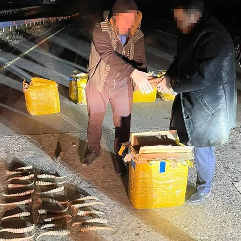 ҰҚК Шекара қызметі киік мүйізін тасымалдаған 5 адамды ұстады