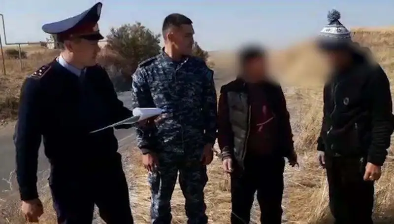 Алматы облысынан ұрланған мал Павлодар облысынан табылды  