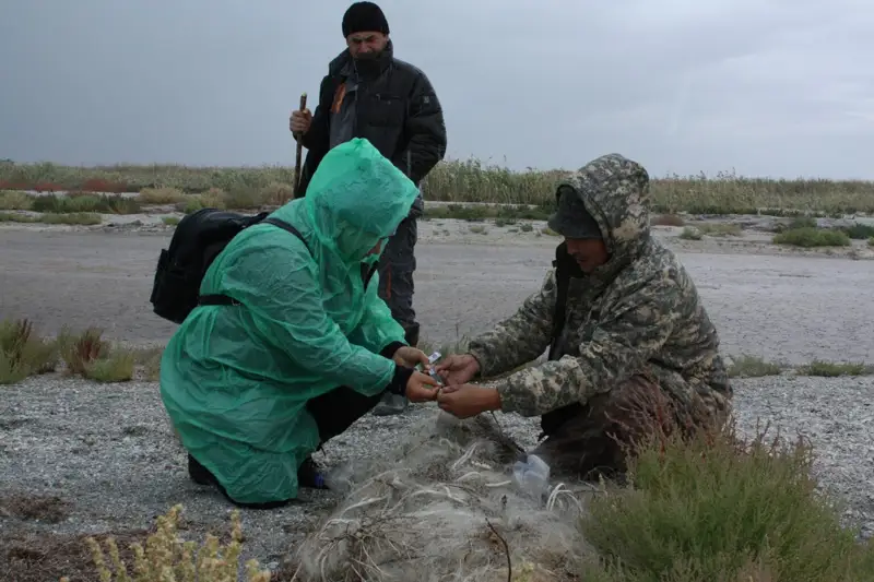 Теңізшевройлдың биылғы игі істері қандай болды?