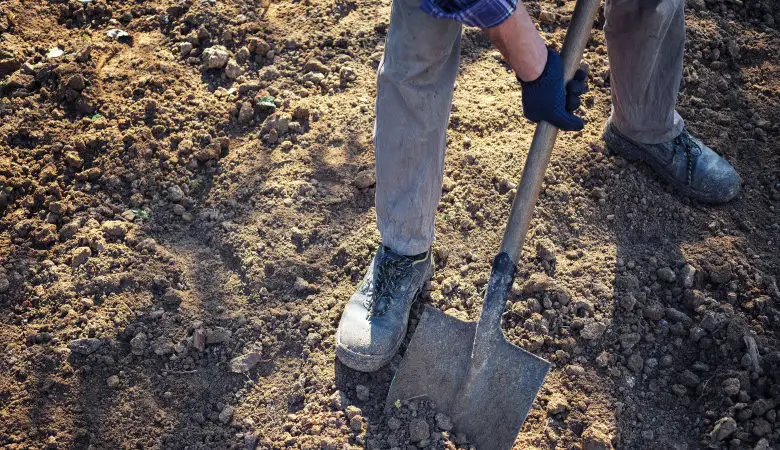 «Өлімнен де ақша жасап жатыр»