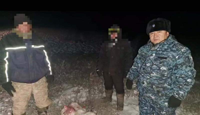 Жамбыл полицейлері қорық аумағында ақбөкен аулағандарды ұстады