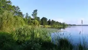 Ертіс өзені ерекше қорғалатын аумаққа айналуы мүмкін