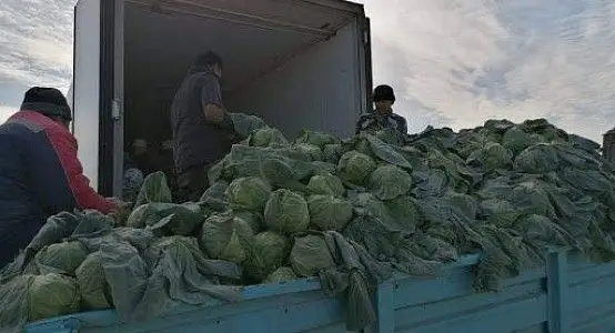 Карантин экспортқа кері әсерін тигізбейді