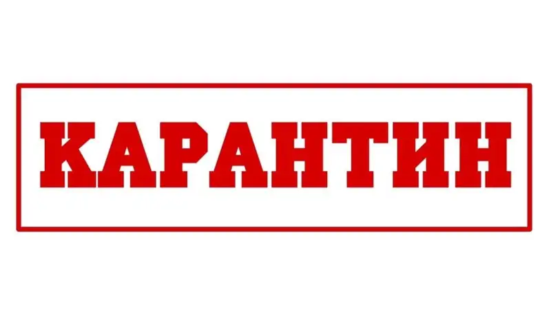 Карантиннің қандай пайдасы бар?