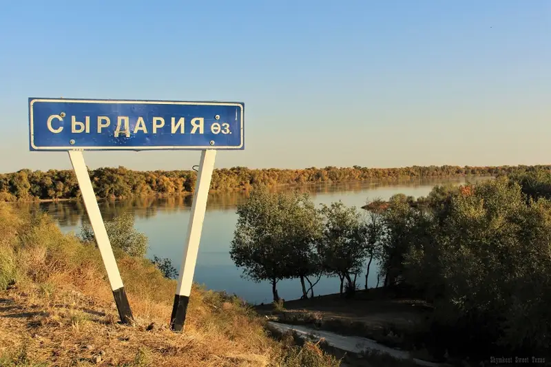 Сырдарияның сол жағалауына ерекше базар салынады