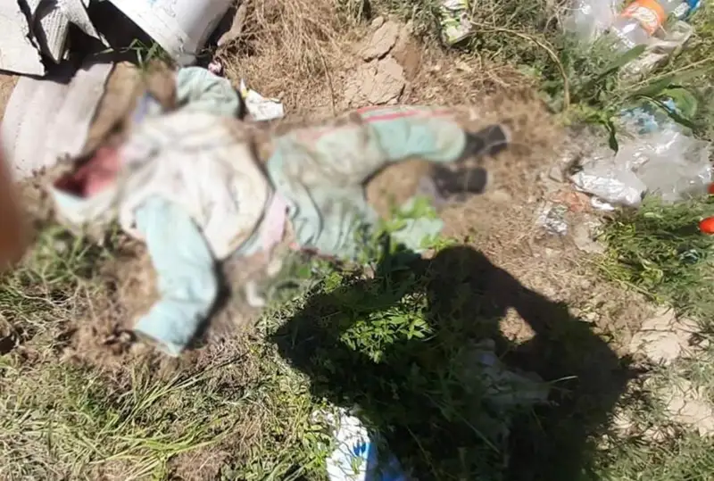 Сарқанда қоқыс жәшігінен 4-5 жасар қыздың мәйіті табылды
