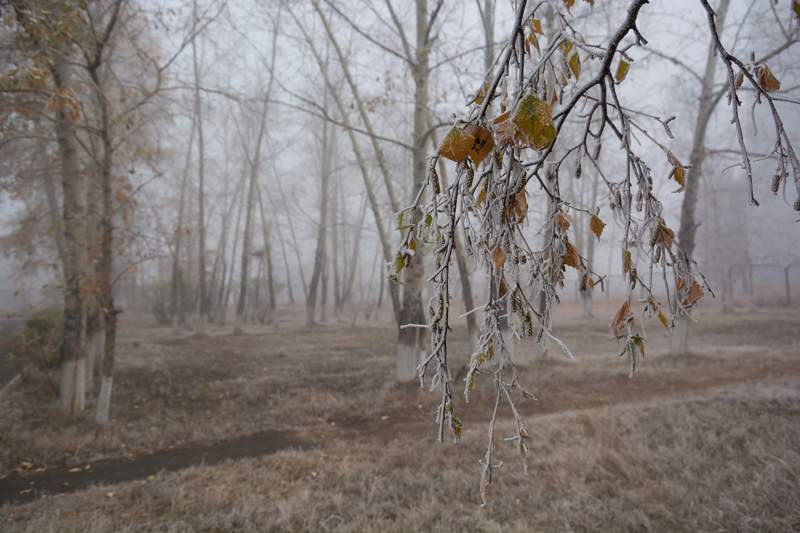 -20°C: Алдағы күндері аяз болады