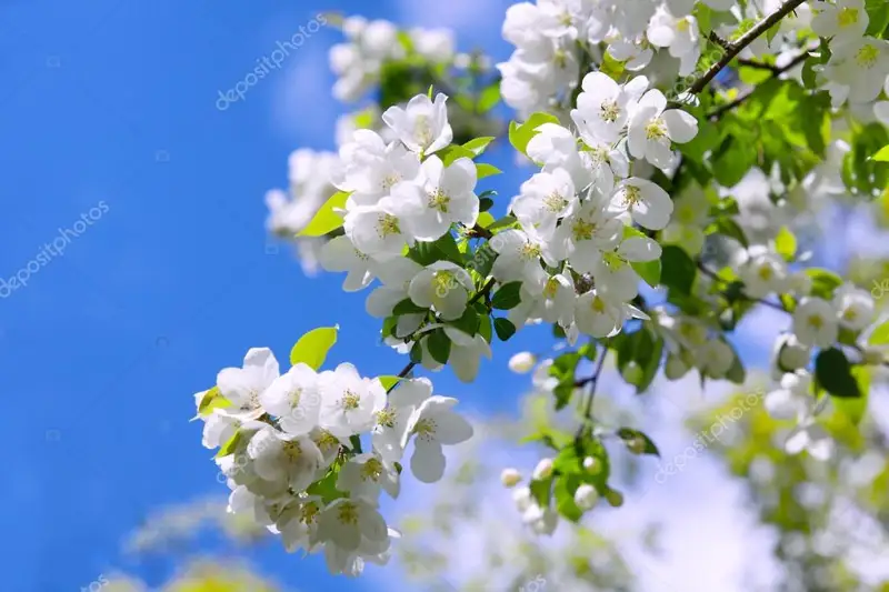 Бүгін ауа райы ашық болады 