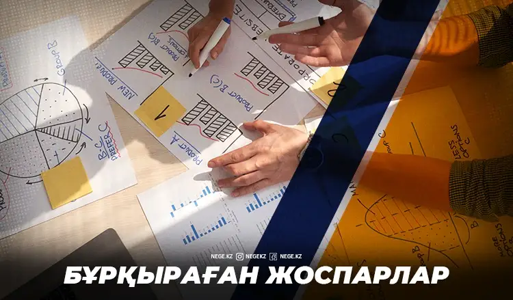 Жоспарлар мен стратегиялар елі. НЕГЕ бізде орындалмай қалған бағдарлама көп?