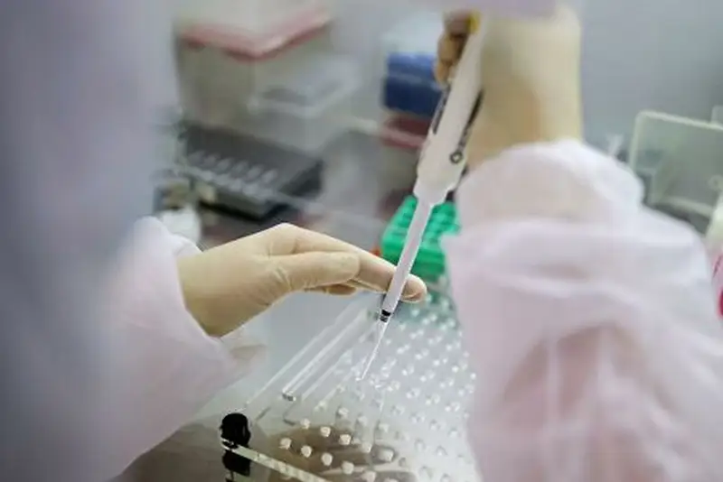 Коронавирусты анықтайтын ПТР-тестілеу қалай жасалады?