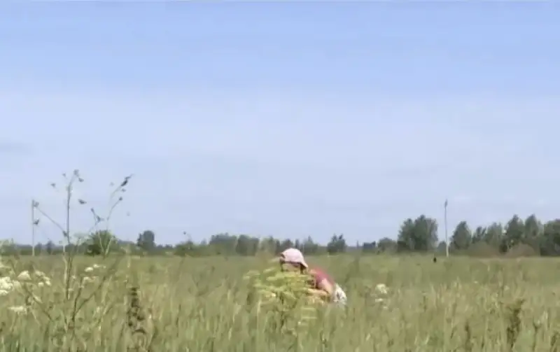 СҚО-да аңшылар абайсызда жидек теріп жүрген әйелді атып тастады