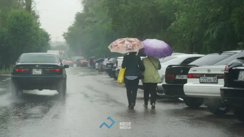 Жаңбыр жауса – жерге сый... Фоторепортаж