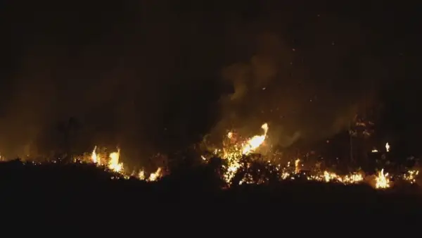 Амазонкадағы өрт өршіп барады