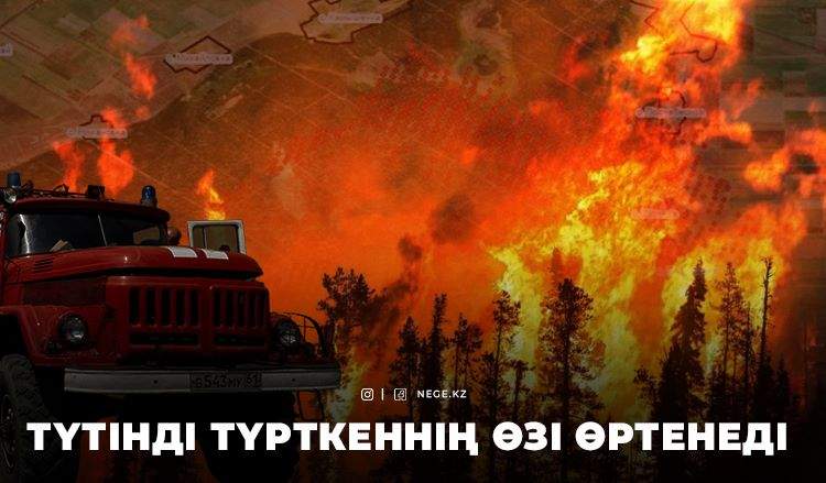 Ерлан ДОСЖАНОВ, эколог: Орманды толық қалпына келтіру үшін кем дегенде 50 жыл қажет