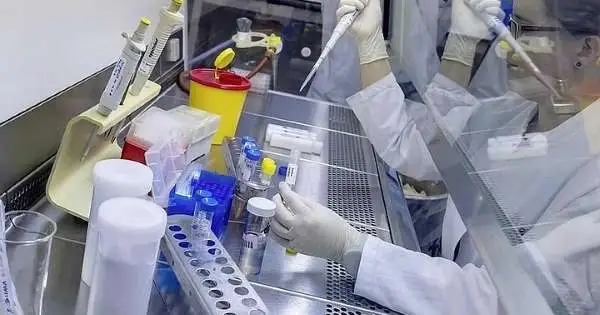 Коронавирус жұқтырғандардың саны 2251-ге жетті 