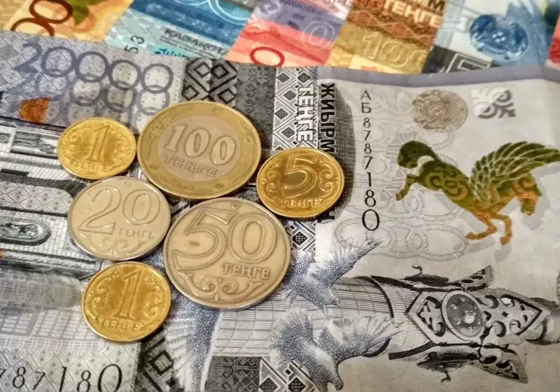 Назарбаев құрған «Birgemiz» қорының ақшасы кімдерге беріледі?