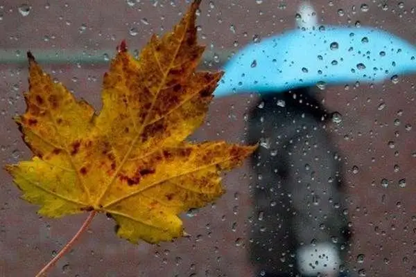 Қазгидромет 8 өңірде ескерту жариялады 