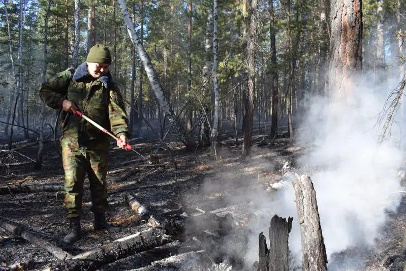Бурабай ұлттық паркінің 70 гектар аумағы отқа оранды 